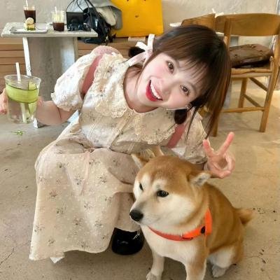 超级无敌掌门狗：引鹅入室 海报